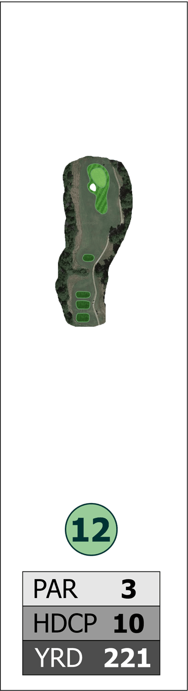 Hole #12