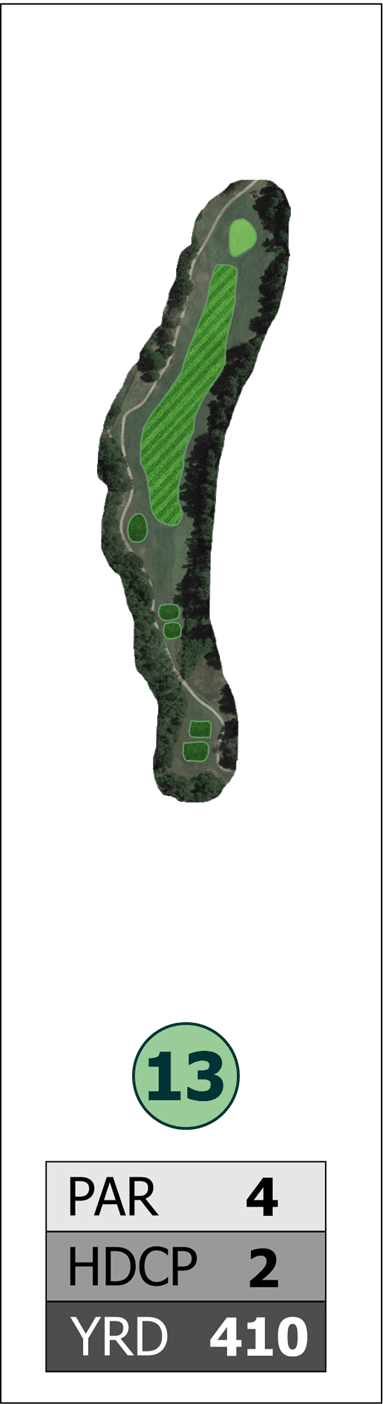 Hole #13