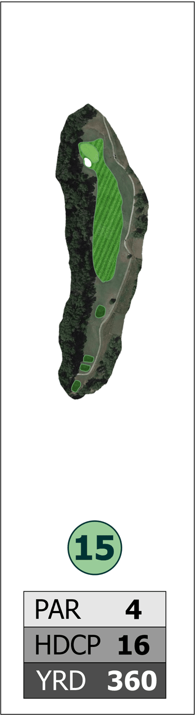 Hole #15