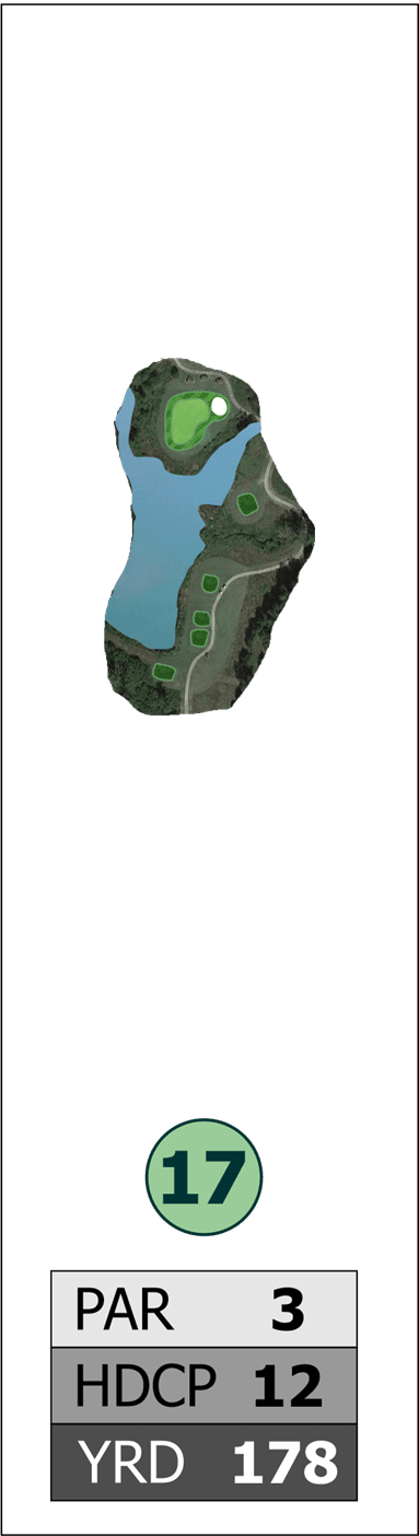 Hole #17