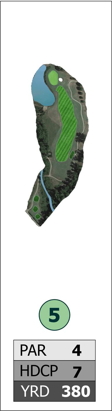 Hole #5