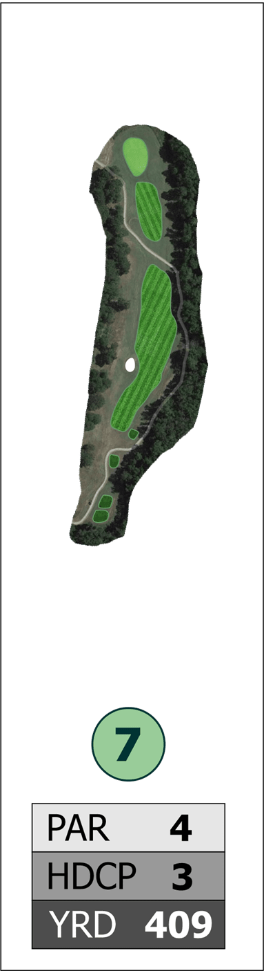Hole #7